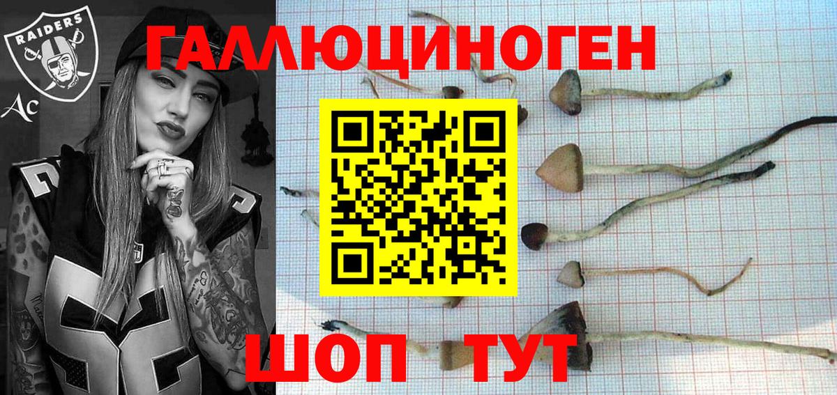Псилоцибиновые грибы мицелий  Вход с VPN  Скопин 